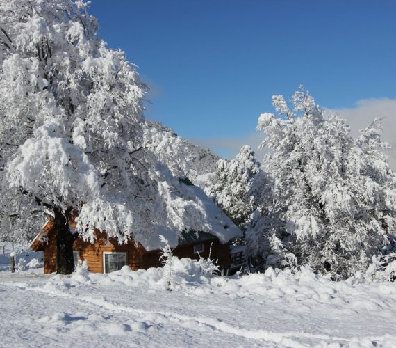 How to choose a winter cabin How to choose a winter cabin