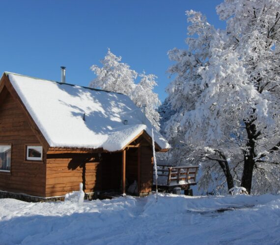 Cabins near Corralco ski centre Cabins near Corralco ski centre