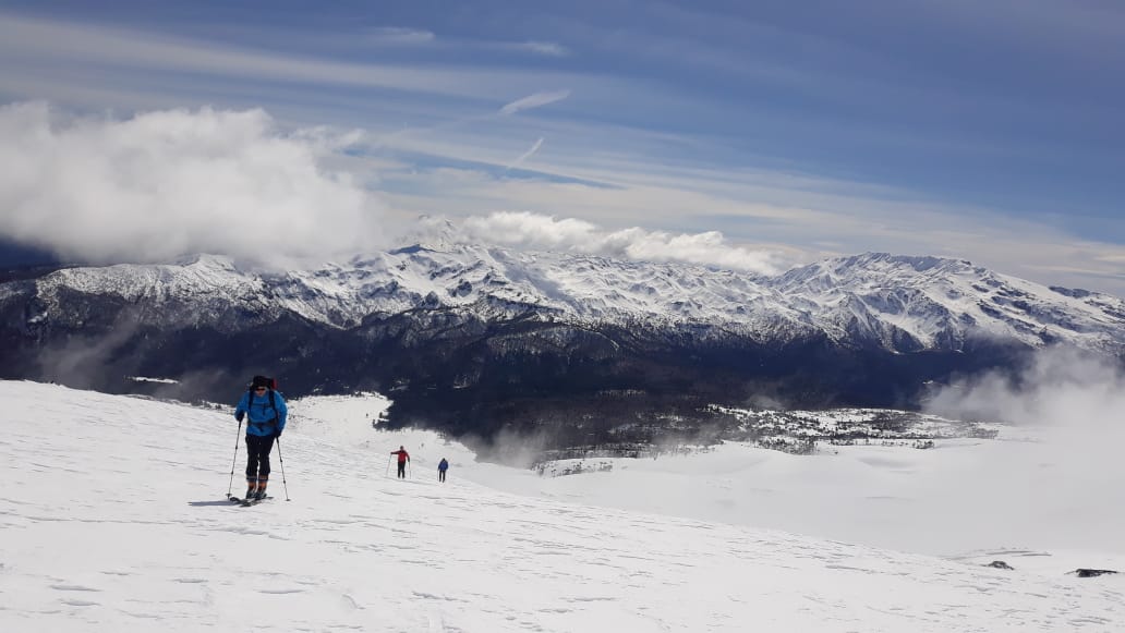 Skiing Styles