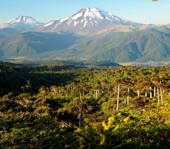 Autumn accommodation in Corralco & things to do Autumn accommodation in Corralco & things to do