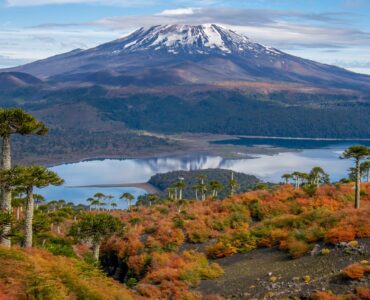 Autumn escapes in Chile – Malalcahuello & Conguillío National Park Autumn escapes in Chile – Malalcahuello & Conguillío National Park