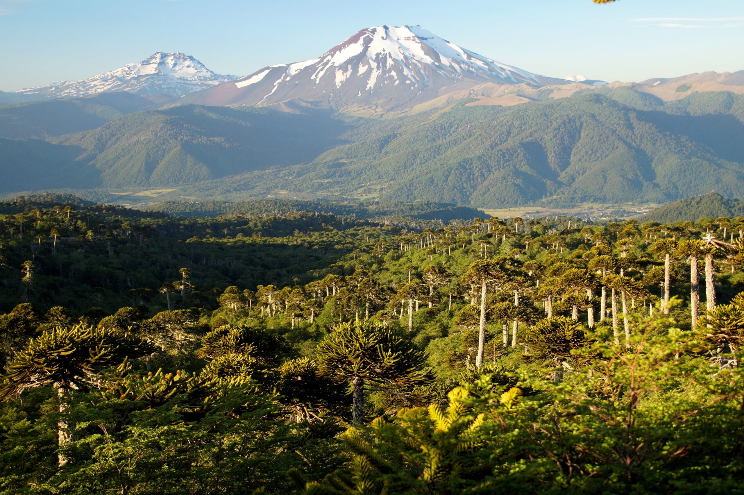 Malalcahuello